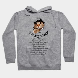 I'M NOT SORRY - Naughty cat design Hoodie